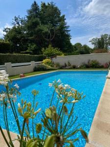 Séjour chez l'habitant Maison ruisseau l'eau blanche 13 Allée Catherine de Duraignes 33850 Léognan Aquitaine