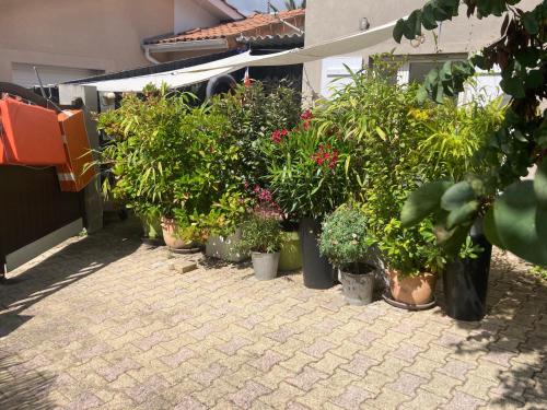 Maisonnette studio Arcachon 300m plage