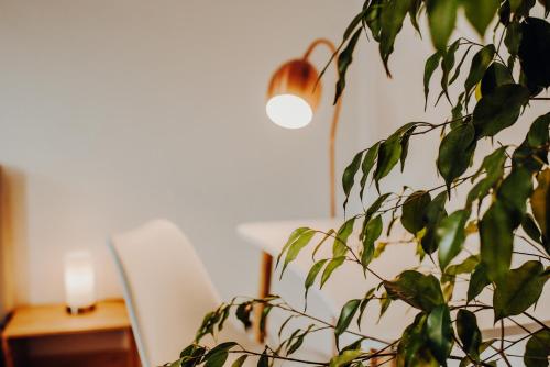 Mayen, Bäckerstraße, Ferienwohnung Zimmer 4, Innenstadt, nähe Nürburgring & Burg Eltz