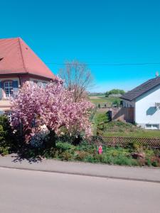 Séjour chez l'habitant Meyerhof Hauptstr. 4 77963 Wittenweier Bade-Wurtemberg