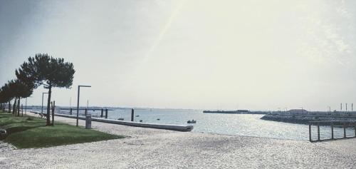 Mi Casa Su Casa