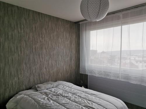 Nancy 1013, chambres privées dans un grand appartement, partagé avec l'hôte