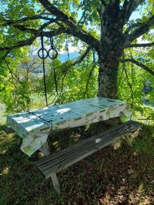 Nature et soleil! Maison naturiste!