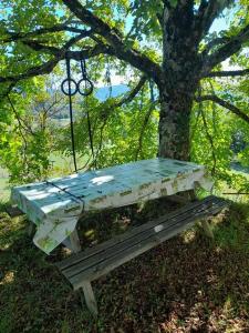 Séjour chez l'habitant Nature et soleil! Maison naturiste! Route de Fontalba 46130 Belmont-Bretenoux Midi-Pyrénées