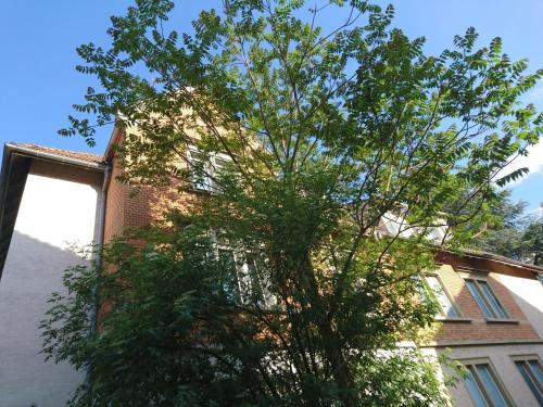 Nest City - Not a Hotel, private room MIT GEMEINSCHAFTSDUSCHE und -WC, KEIN PARKPLATZ, KEIN FRÜHSTÜCK, KEINE KÜCHE, Tücher gegen Gebühr, Check-In ab 16 Uhr bis 23 Uhr