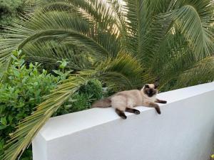 Paradis ZEN sur la Côte d'Azur pour 4 personnes piscine chauffée
