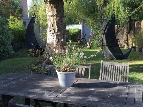 Petit cocon lillois:Cheminée & jardin