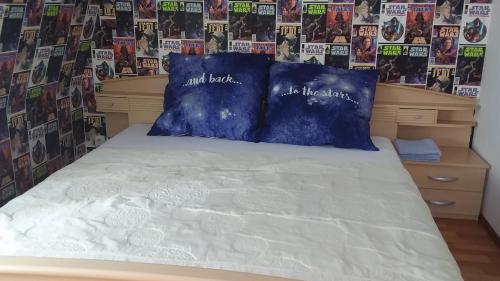 Pieschen Hertz _toller Preis