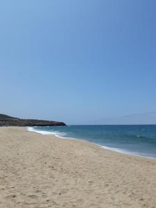 plage et forêt