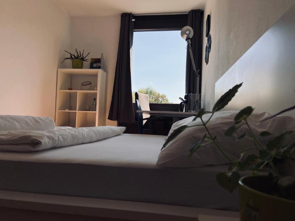 Séjour chez l'habitant Private room with free parking 30 Potsdamer Straße 56075 Coblence
