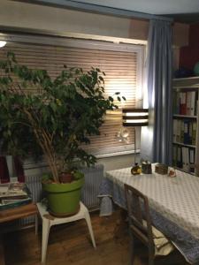 Private rooms in calm district close to center