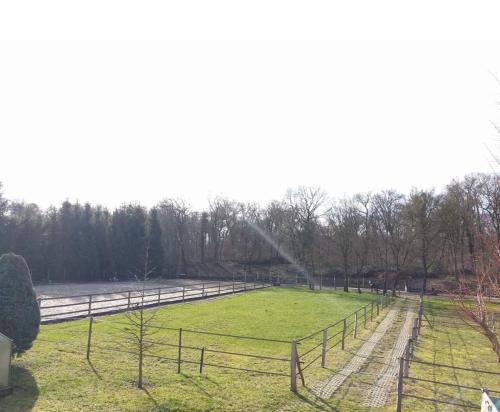 Repos plaisir au milieu des chevaux