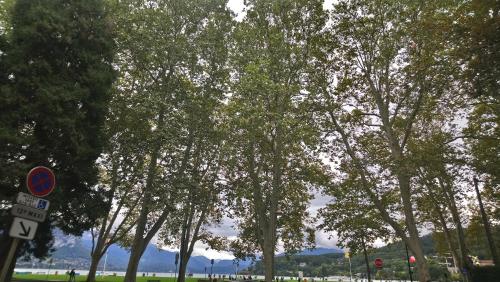 RESIDENCE ALBIGNY STUDIO VUE SUR LAC