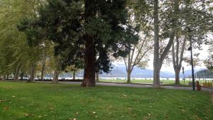 RESIDENCE ALBIGNY STUDIO VUE SUR LAC