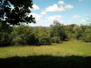 Ricouch, chambre d'hôtes et permaculture