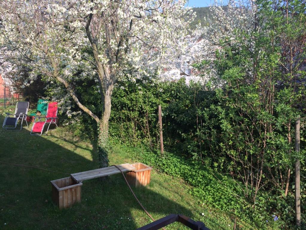 schones Zimmer in Gimmeldingen/ Konigsbach 51 Neubergstrasse, 67435 Neustadt an der Weinstraße