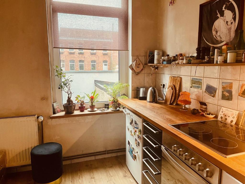 Schönes Zimmer in Linden Mitte Konkordiastraße, 30449 Hanovre