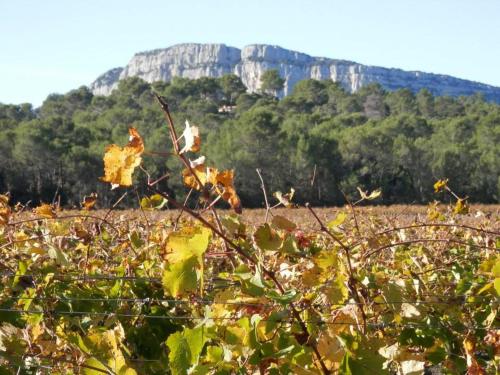 Séjour Pic Saint Loup