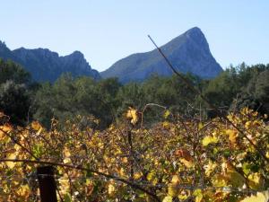 Séjour Pic Saint Loup