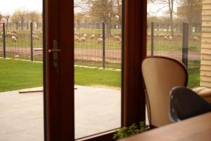 Stille, Aussicht und Kunst am Archäologischen Park