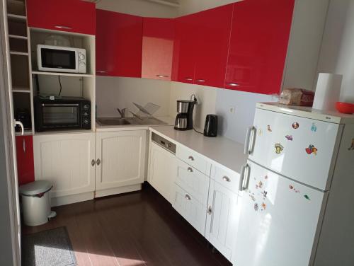Studio indépendant 40m² avec jardin privé