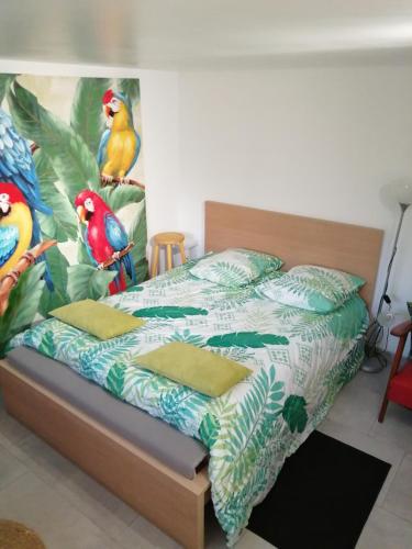 Studio Les oiseaux