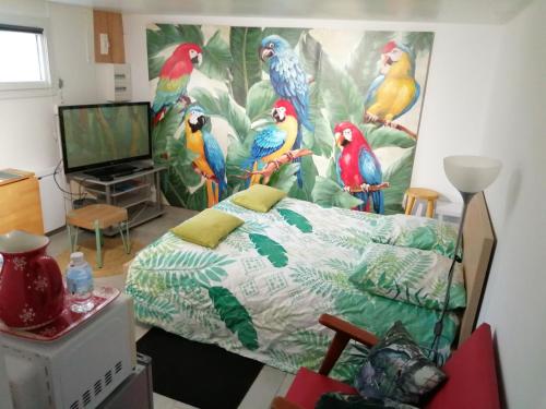 Studio Les oiseaux