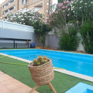 Suite douro