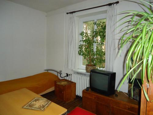 Unterkunft Ebertallee