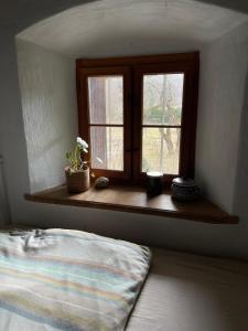 Urlaub auf dem Pferdehof