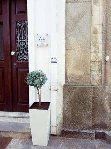Villa Regio 2