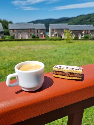 Séjour dans un cadre verdoyant La Salvetat-sur-Agout france