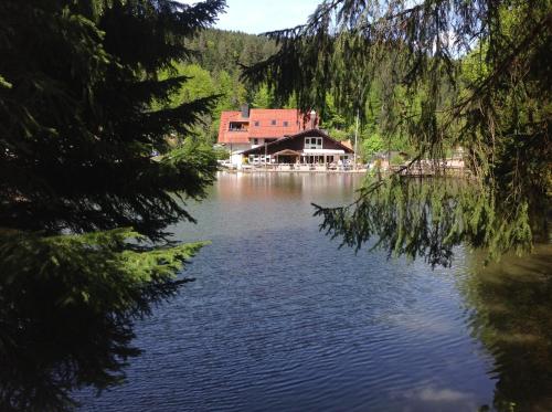 Self-check-in Ferienwohnungen & Apartments am Bergsee Triberg im Schwarzwald allemagne