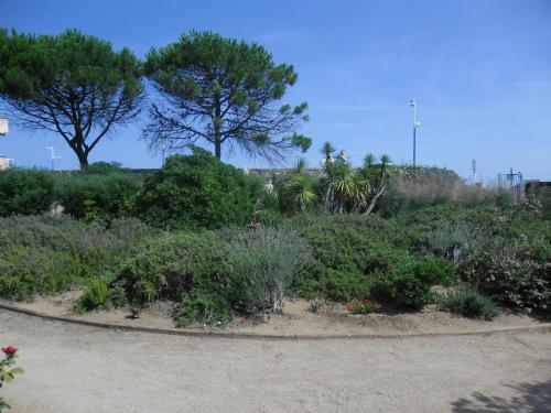 Sète studio 4 personnes Sète france