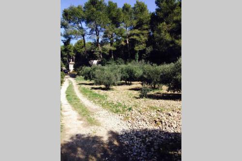 Maison de vacances Shanti House Luberon 590 CHEMIN DE PATAOU Cheval-Blanc