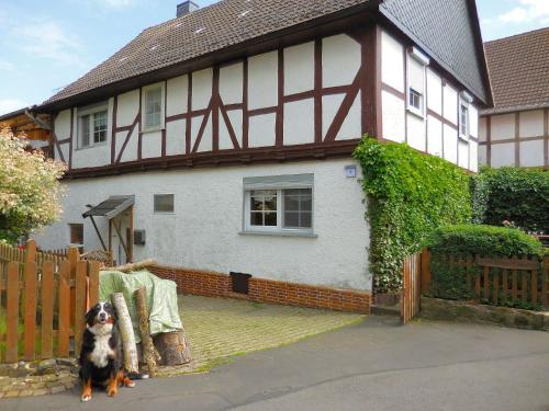 Appartement Small apartment in Hesse with terrace and garden  Frielendorf