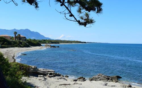 Appartement Sognu di Mare - Plage et piscine sur place Linguizzetta Linguizzetta