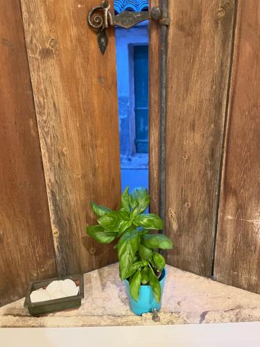 Appartement Sololà 130 Grand Rue Villeneuve-lès-Maguelone