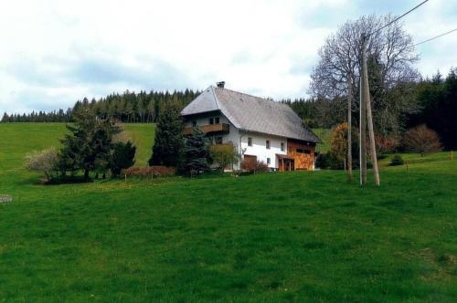 Sommerruhe Titisee-Neustadt allemagne