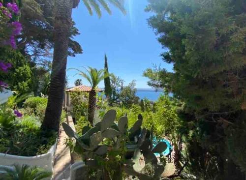 Somptuous exotic villa in Cannes Cannes france