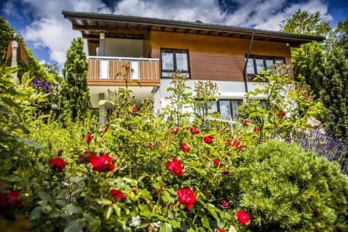 Appartement Sonjas Himmel Professor Wurmstraße 3 Höchenschwand