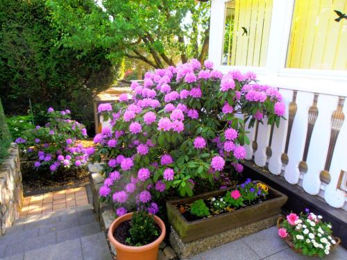 Sonnenblick Kirschhofen allemagne