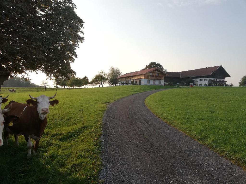 Appartement Sonnenhub Sonnenhub, 1 1, 83737 Irschenberg