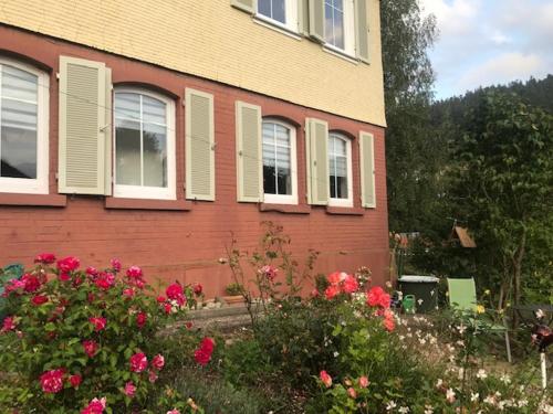 Appartement sonnige Ferienwohnung 67 Im Hagenwinkel Schramberg