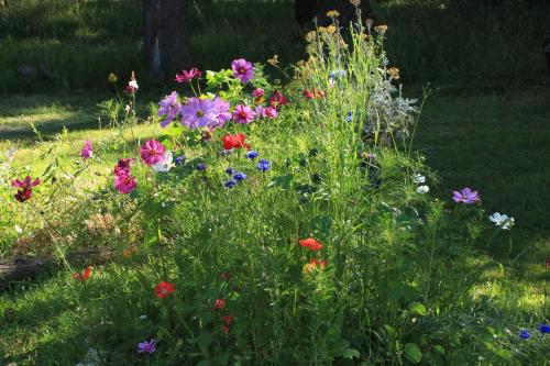 B&B / Chambre d'hôtes souslens Lieu dit \ Castaignos-Souslens