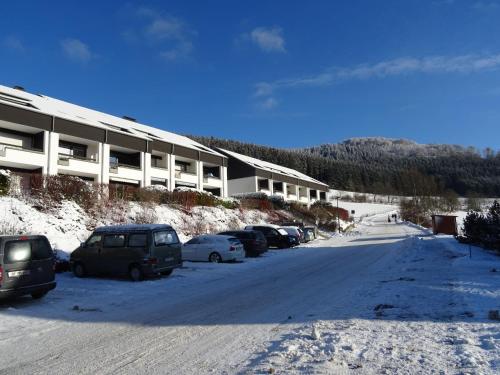 Appartement Spacious Apartment in Niedersfeld near Ski Area  Winterberg