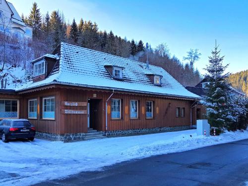 Maison de vacances Spacious Apartment in Upper Harz near River  Wildemann