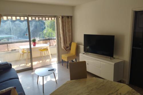 Spacious Flat 250 meters from the beaches Ideal for Congresses & Holidays Cannes france