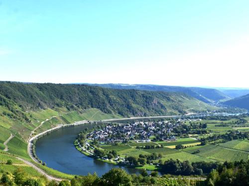 Spitzhaus Wolf Traben-Trarbach allemagne