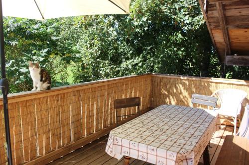 Appartement Spring-Hof Viehweide 1 Unterostendorf Oberostendorf